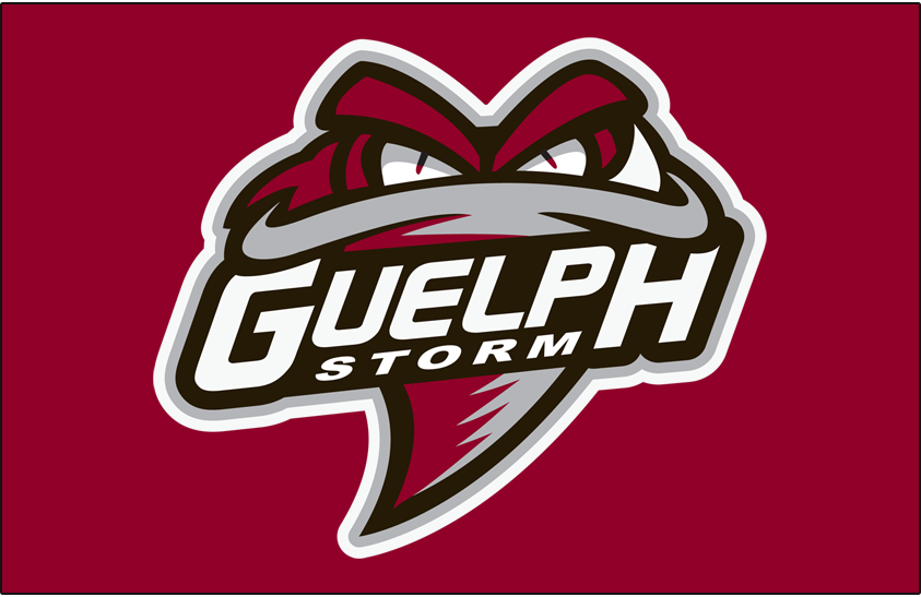 Guelph Storm 2018-Pres Jersey Logo iron on transfers for clothing